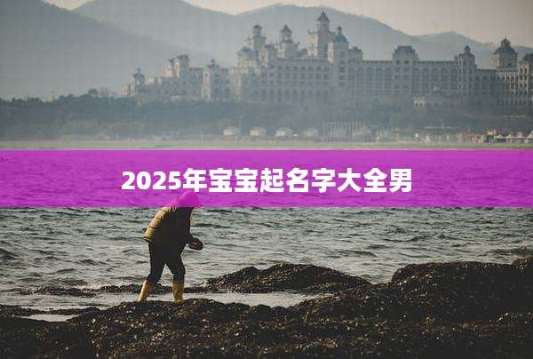 2025年宝宝起名字大全男
