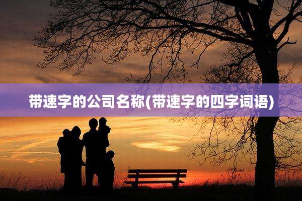 带速字的公司名称(带速字的四字词语)
