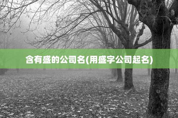 含有盛的公司名(用盛字公司起名)