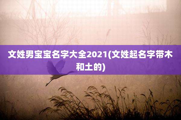 文姓男宝宝名字大全2021(文姓起名字带木和土的)