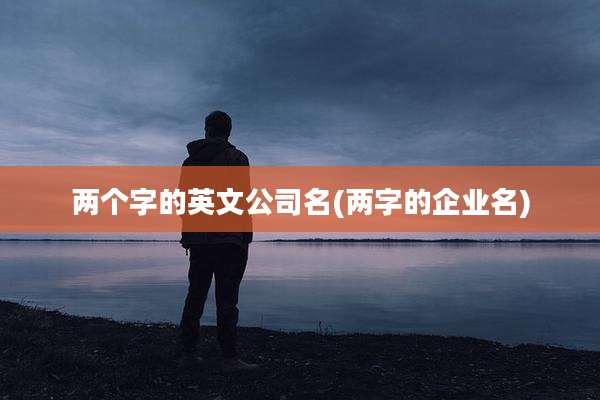 两个字的英文公司名(两字的企业名)