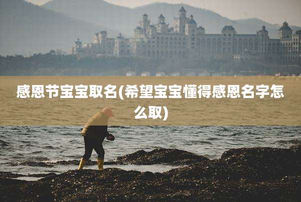 感恩节宝宝取名(希望宝宝懂得感恩名字怎么取)