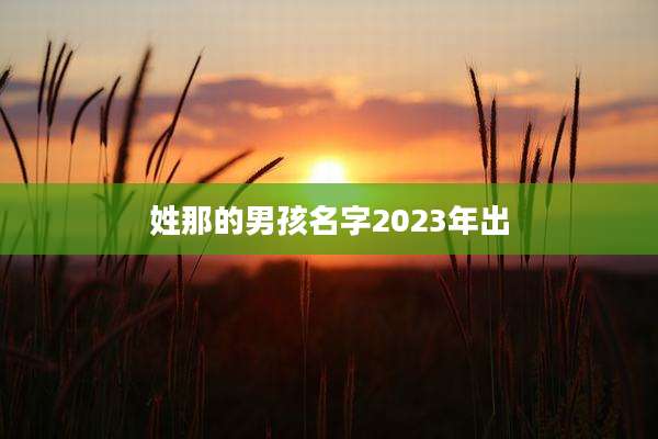 姓那的男孩名字2023年出