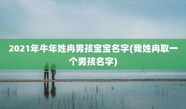 2021年牛年姓冉男孩宝宝名字(我姓冉取一个男孩名字)