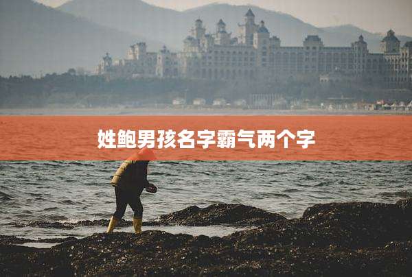 姓鲍男孩名字霸气两个字