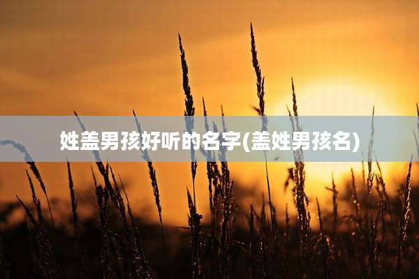 姓盖男孩好听的名字(盖姓男孩名)