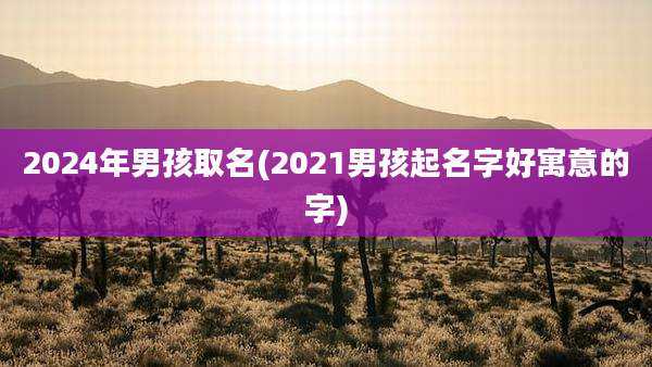 2024年男孩取名(2021男孩起名字好寓意的字)