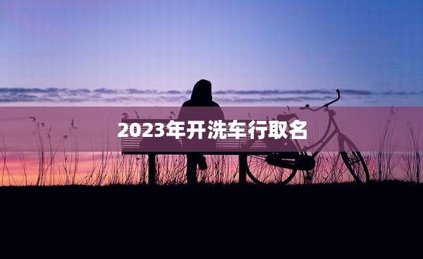 2023年开洗车行取名
