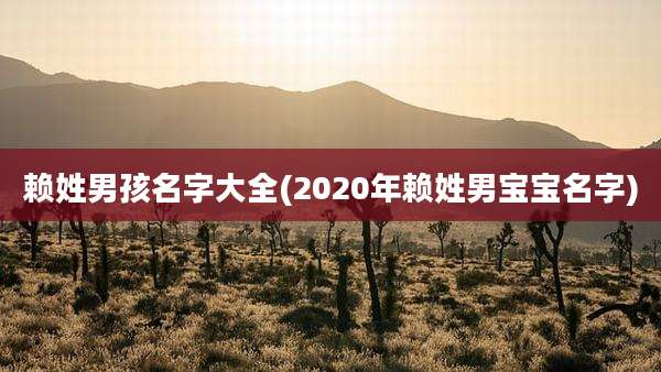 赖姓男孩名字大全(2020年赖姓男宝宝名字)