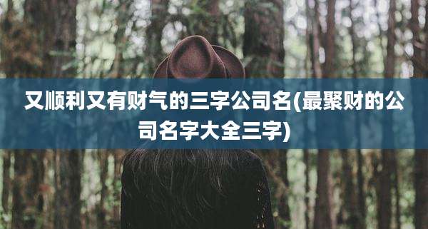 又顺利又有财气的三字公司名(最聚财的公司名字大全三字)