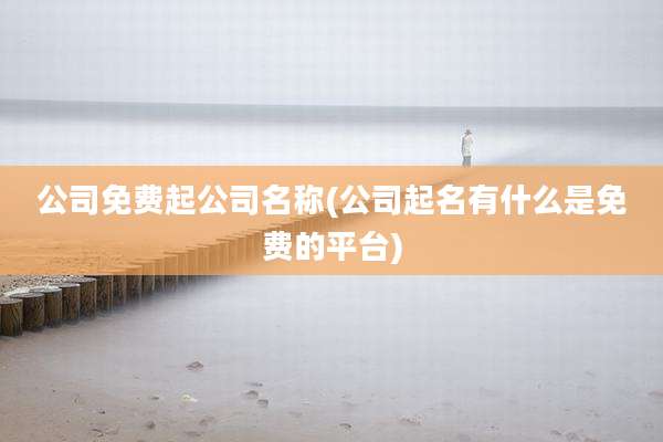 公司免费起公司名称(公司起名有什么是免费的平台)
