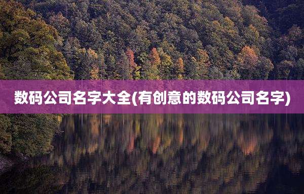 数码公司名字大全(有创意的数码公司名字)
