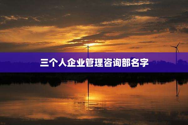 三个人企业管理咨询部名字