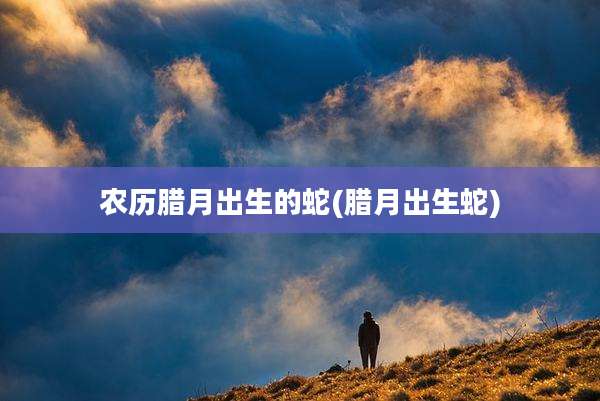 农历腊月出生的蛇(腊月出生蛇)