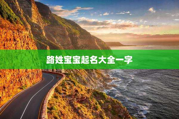 路姓宝宝起名大全一字