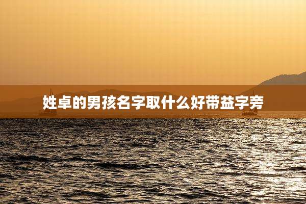姓卓的男孩名字取什么好带益字旁