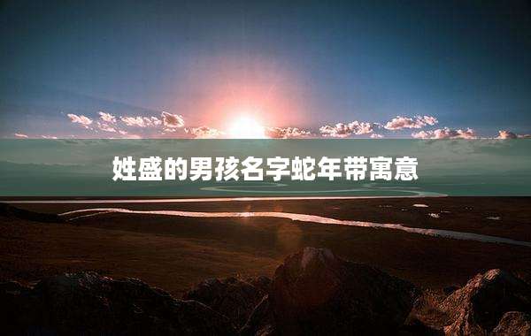 姓盛的男孩名字蛇年带寓意