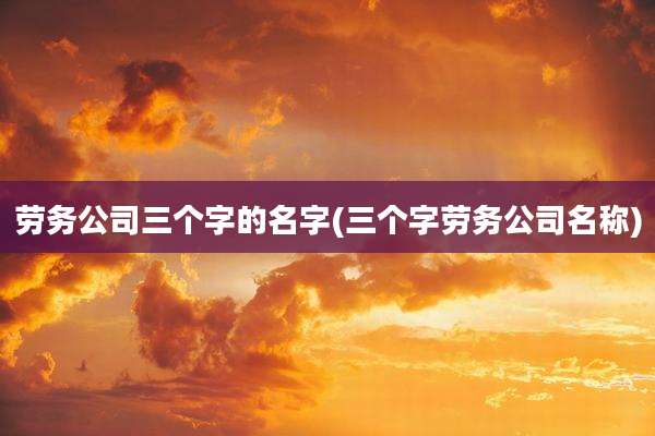 劳务公司三个字的名字(三个字劳务公司名称)
