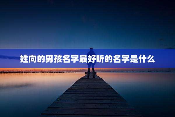 姓向的男孩名字最好听的名字是什么