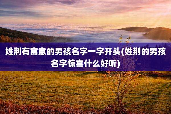 姓荆有寓意的男孩名字一字开头(姓荆的男孩名字惊喜什么好听)