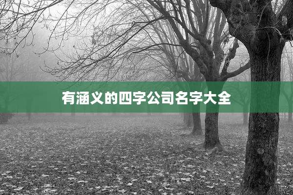 有涵义的四字公司名字大全
