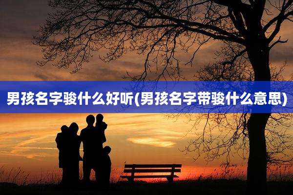 男孩名字骏什么好听(男孩名字带骏什么意思)
