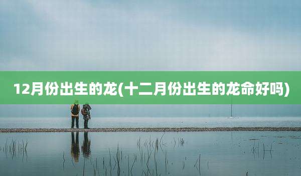 12月份出生的龙(十二月份出生的龙命好吗)