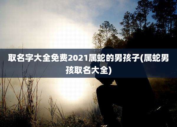 取名字大全免费2021属蛇的男孩子(属蛇男孩取名大全)