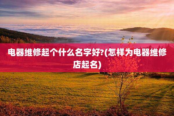 电器维修起个什么名字好?(怎样为电器维修店起名)