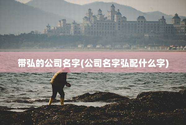带弘的公司名字(公司名字弘配什么字)
