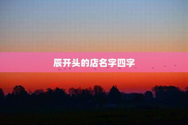 辰开头的店名字四字