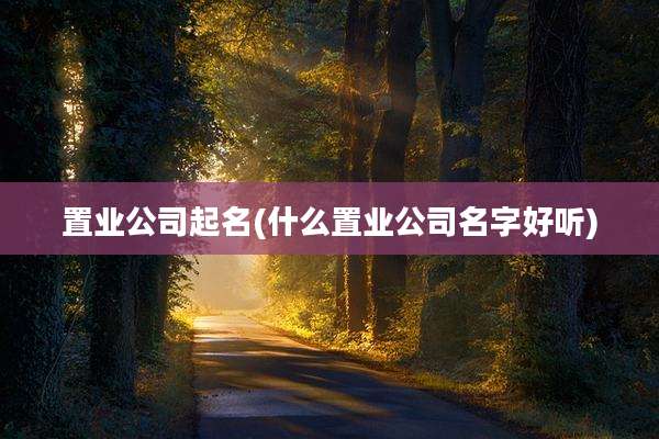 置业公司起名(什么置业公司名字好听)