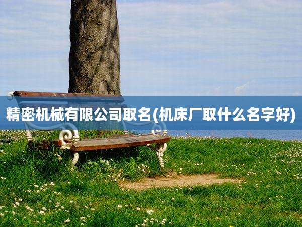 精密机械有限公司取名(机床厂取什么名字好)