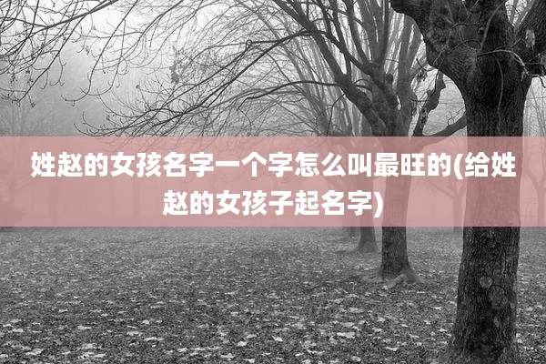 姓赵的女孩名字一个字怎么叫最旺的(给姓赵的女孩子起名字)