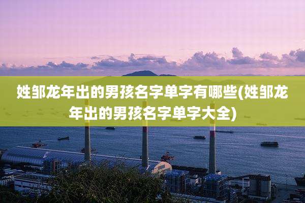 姓邹龙年出的男孩名字单字有哪些(姓邹龙年出的男孩名字单字大全)