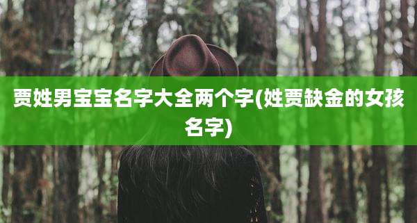 贾姓男宝宝名字大全两个字(姓贾缺金的女孩名字)