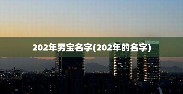 202年男宝名字(202年的名字)