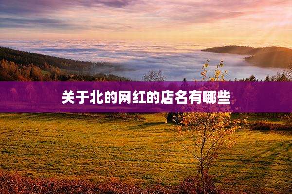 关于北的网红的店名有哪些