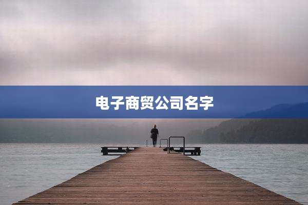 电子商贸公司名字