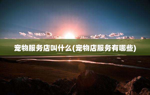 宠物服务店叫什么(宠物店服务有哪些)