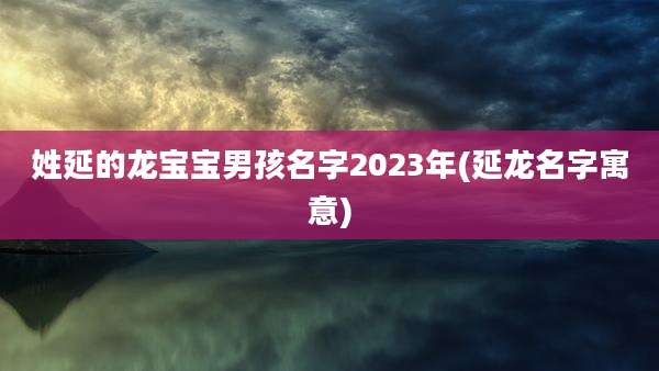 姓延的龙宝宝男孩名字2023年(延龙名字寓意)
