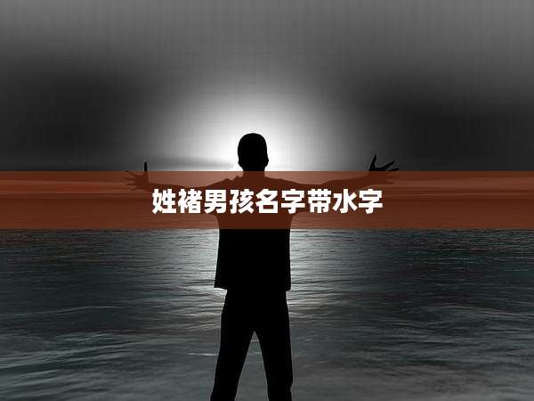 姓褚男孩名字带水字