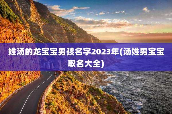 姓汤的龙宝宝男孩名字2023年(汤姓男宝宝取名大全)