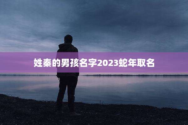 姓秦的男孩名字2023蛇年取名