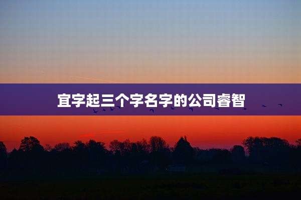 宜字起三个字名字的公司睿智
