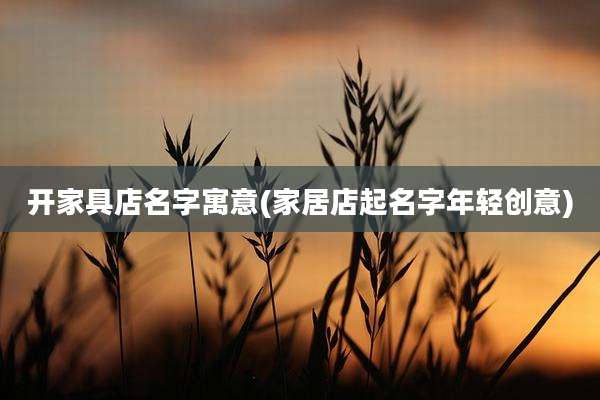 开家具店名字寓意(家居店起名字年轻创意)