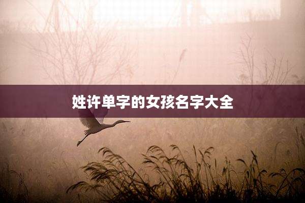 姓许单字的女孩名字大全