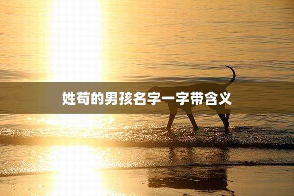 姓苟的男孩名字一字带含义