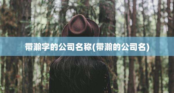 带瀚字的公司名称(带瀚的公司名)