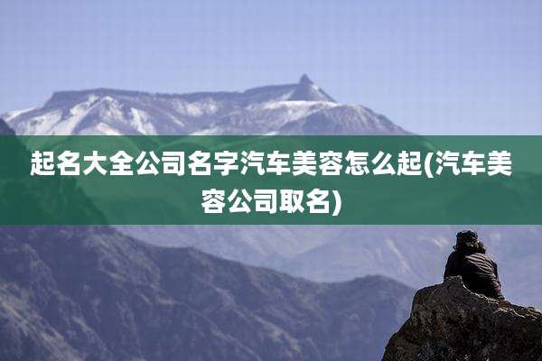 起名大全公司名字汽车美容怎么起(汽车美容公司取名)